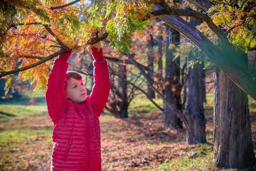 The boy was lost in the forest looking for a way home, the child was left alone in an unfamiliar place, summer holidays in nature, holding a stick in his hand, walking on the grass.