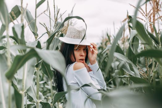 A brunette girl in a white dress in a cornfield. The concept of harvesting.