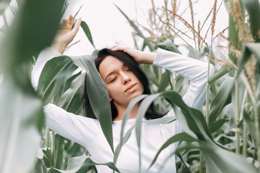 A brunette girl in a white dress in a cornfield. The concept of harvesting.