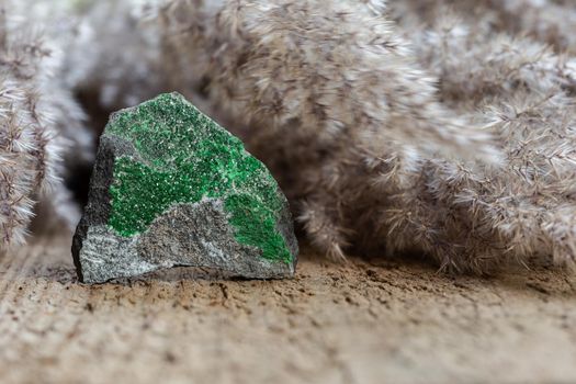 Rough stone with uvarovite crystals over natural wooden background. Chromium-bearing garnet group. Mineral specimen closeup. Geological collection 