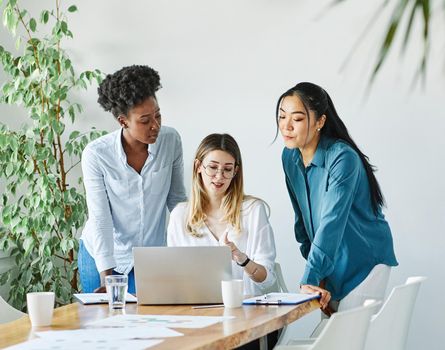 Portrait of a group of young businesswomen multiethnic working with laptop on desk and talking in a start up office