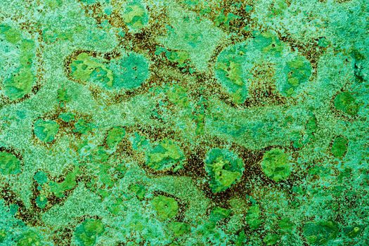 Stone textured background. Green old rusty shabby metall wall with red brown spots