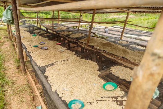 Close up of washing station with tables with coffee beans in region of Rwanda
