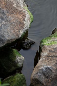 Shallow water flowing between large mossy rocks