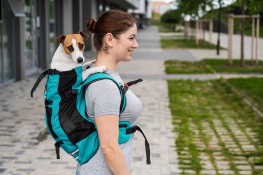 Caucasian woman walking outdoors with dog jack russell terrier in a special backpack