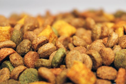 Dry food for cats, dogs lies in a pile on a light background. Close-up. Blurred background and background.