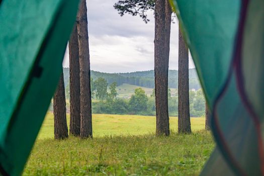 View from the tent to the forest. The concept of outdoor recreation