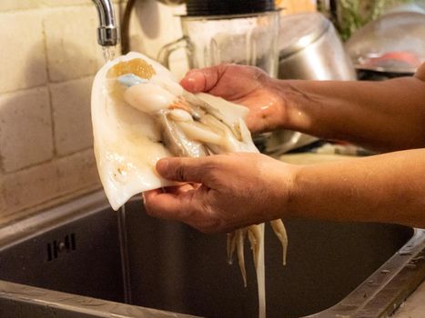 cleaning a raw adriatic cuttlefish at home in Numana, Marche, Italy