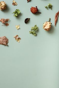 Autumn composition flat lay with pattern from dried hydrangea flowers, roses and petals on pastel green colored background. Top view, copy space. Vertical photo