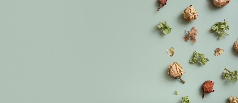 Banner with autumn pattern flat lay with from dried hydrangea flowers, roses and petals on pastel green colored background. Top view, copy space.