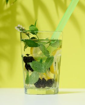 Transparent glass with lemonade, mint leaves, lemon slices and blackberries in the middle. Green background