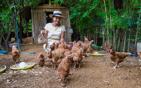 Asian women at an Eco farm homestay feeding chicken at a farm in Thailand. Asian woman with hat at a homestay farm in Thailand feeding chicken