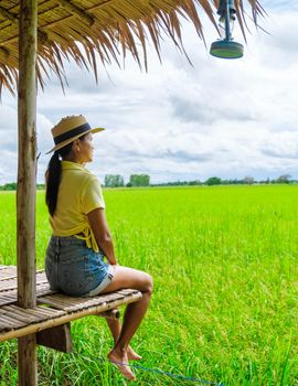 Eco farm homestay with a rice field in central Thailand, paddy field of rice during rain monsoon season in Thailand. Asian woman at an homestay farm in Thailand