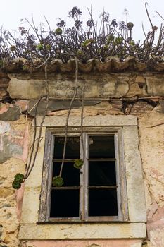 Bottom view of an empty dark window of an old abandoned house with succulents growing on a tiled roof