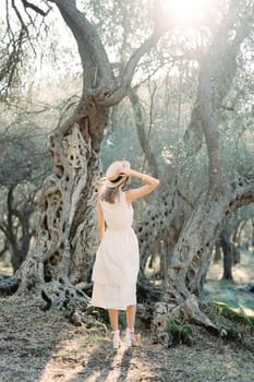 Girl stands in an olive grove in front of a tree holding a straw hat with her hand. Back view. High quality photo