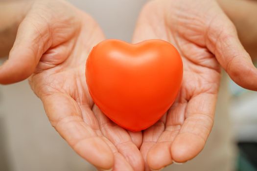 Grandmother woman hands holding red heart, healthcare, love, organ donation, mindfulness, wellbeing, family insurance and CSR concept, world heart day, world health day, national organ donor day.