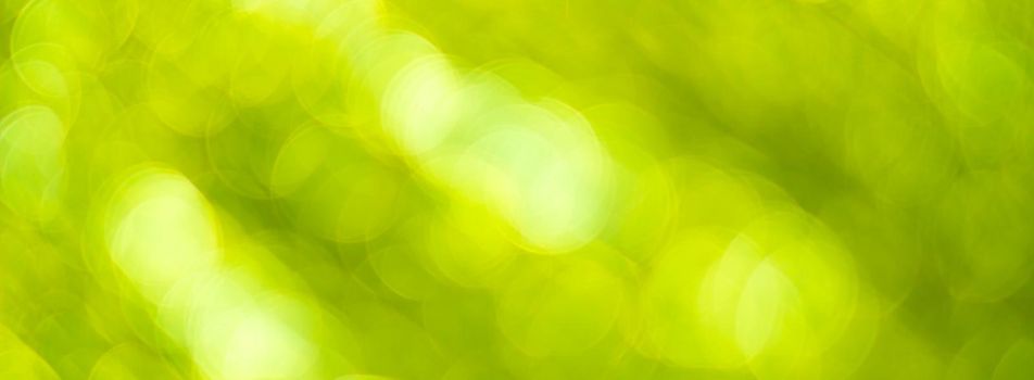 Green abstract background with bokeh defocused lights