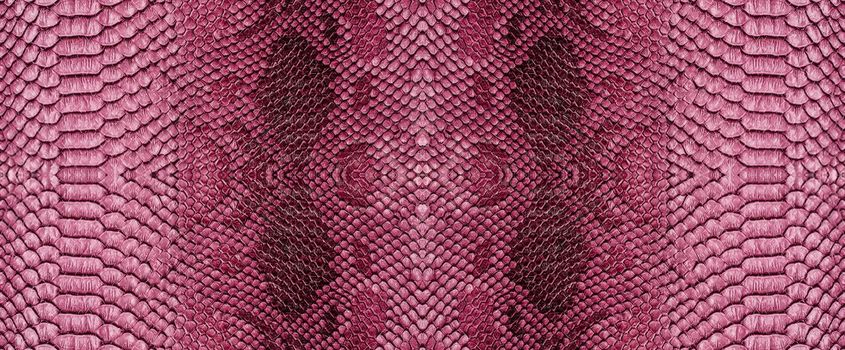 Snake skin texture closeup background. Panoramic web banner with copy space background