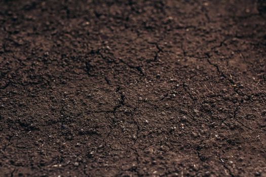 Dark soil texture closeup of dry soil background