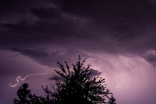 Silhouette of a tree top on a thunderstorm background