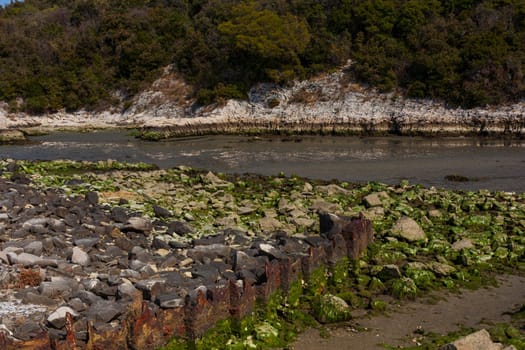 View of the Timavo river resurgences, Italy
