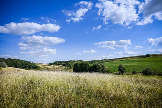Green Grass Field Landscape with fantastic clouds in the background.