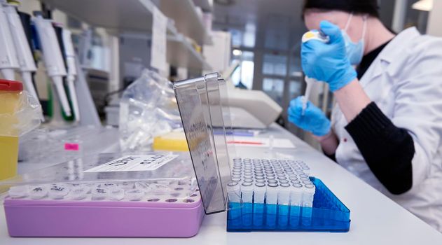 Laboratory of Genetic Biotechnology. Analysis of cell cultures for testing. Scientific and Practical Center for Pediatric Oncology.