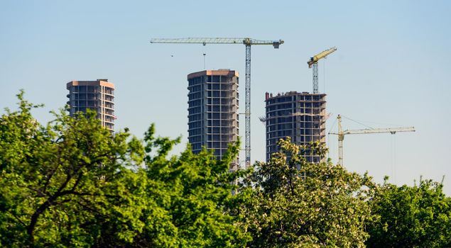 green spaces against the background of the construction of multi-storey buildings, trees, park.