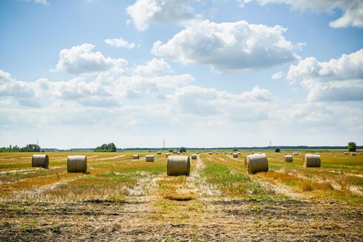 Straw stacks - stacked bales of hay left over from harvesting crops, field of an agricultural farm with harvested crops.