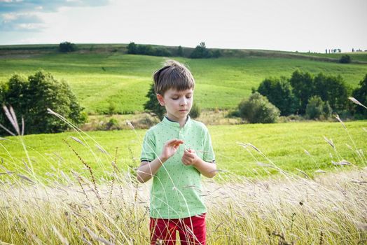 Cute little boy with spikelet in field, space for text. Child spending time in nature. Healthy lifestyle with kids on fresh air.