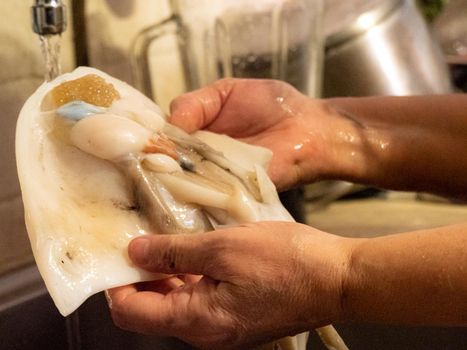 cleaning a raw adriatic cuttlefish at home in Numana, Marche, Italy
