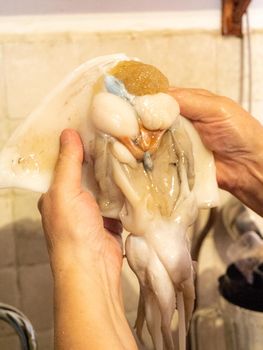 cleaning a raw adriatic cuttlefish at home in Numana, Marche, Italy