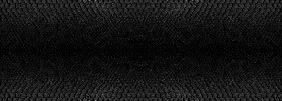 Snake skin texture closeup background. Panoramic web banner with copy space background