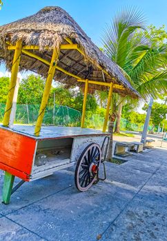 Drivable orange tropical juice shop on wheels in Playa del Carmen Mexico