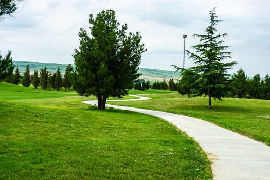 Green grassland in Kachreti village in georgian region Kakheti in summer days