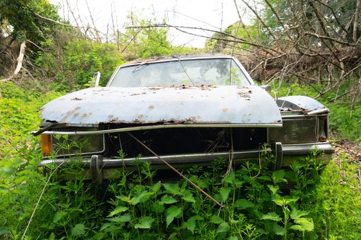 Old abandoned Ford cars dumped in the forest somewhere in Belgium.