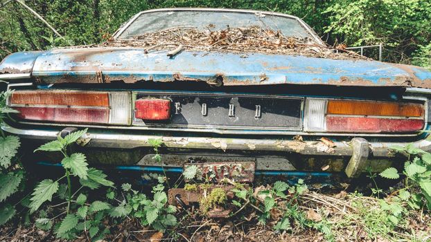 Old abandoned Ford cars dumped in the forest somewhere in Belgium.