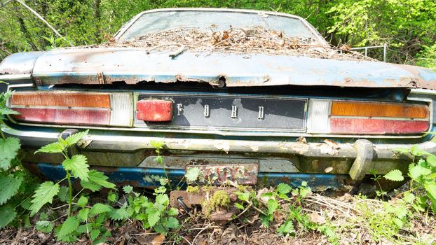 Old abandoned Ford cars dumped in the forest somewhere in Belgium.