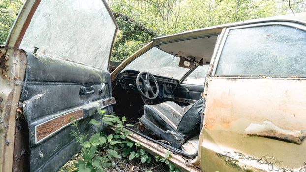 Old abandoned Ford cars dumped in the forest somewhere in Belgium.