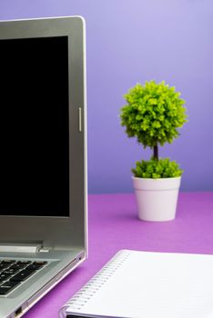 Lap Top With Important Information On Table With Plant And Cup Of Coffee.