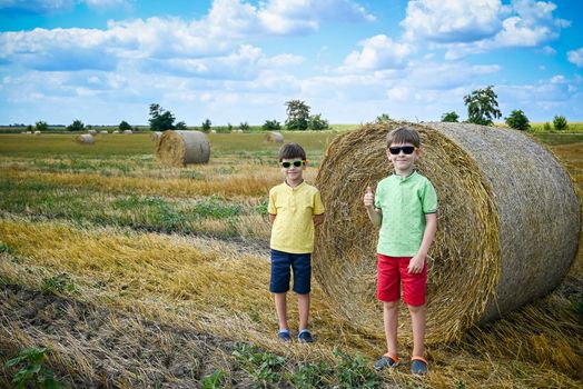 Two little boy stand among round haystack. Field with round bales after harvest under blue sky. Big round bales of straw, sheaves, haystacks.