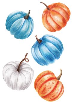 Hand paint watercolor autumn set of pumpkins isolated on white background, watercolor illustration