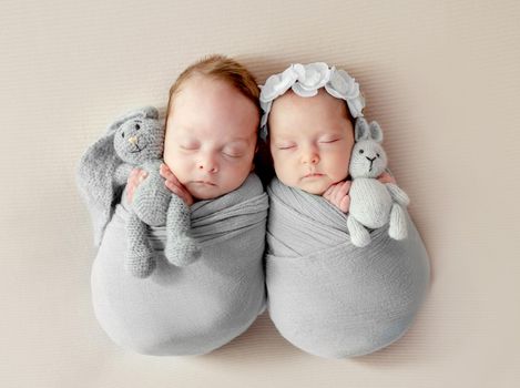 Newborn babies twins swaddled in fabric sleeping and holding bunny toys. Infant child kids studio photoshoot