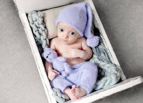 Newborn baby wearing knitted costume and hat holding soft kitty cat toy. Infant child kid in tiny bed studio photoshoot