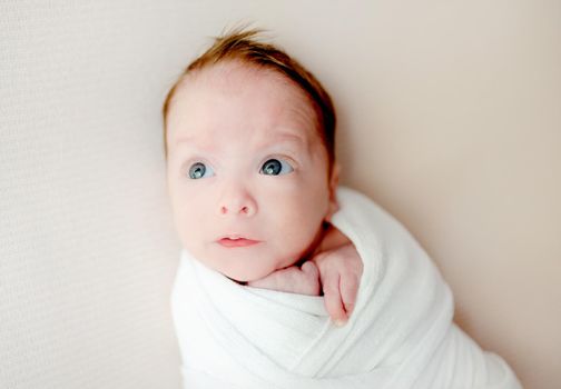 Newborn baby swaddled in fabric lying and looking back portrait. Infant child kid studio photoshoot