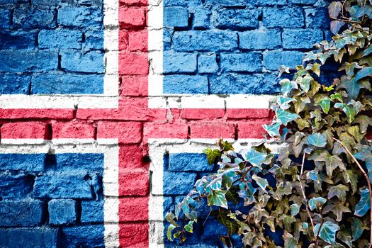 Iceland grunge flag on brick wall with ivy plant, country symbol concept 

