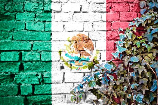 Mexico grunge flag on brick wall with ivy plant, country symbol concept 

