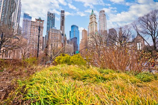 New York City downtown and green park view, United States of America