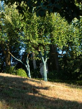 fruit tree garden in piacenza, italy