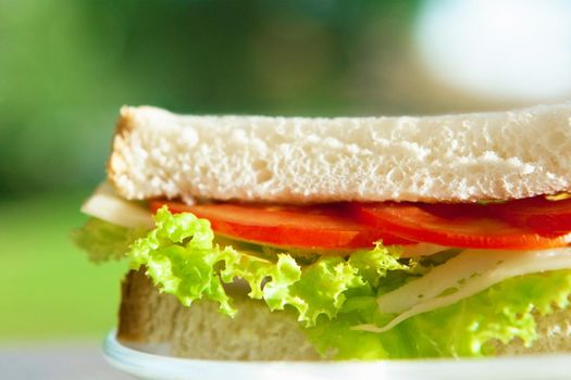 cheese and veggies sandwich - healthy snacks and homemade food styled concept